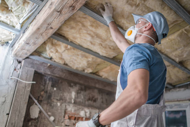 Best Insulation Removal  in St Clair, MI